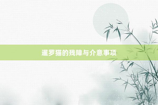 暹罗猫的残障与介意事项